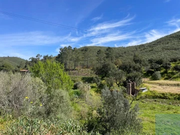 Terreno Agricola ou Rústico para Venda em Mexilhoeira Grande
