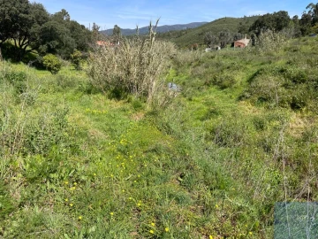 Terreno Agricola ou Rústico para Venda em Mexilhoeira Grande