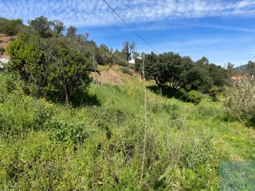 Terreno Agricola ou Rústico para Venda em Mexilhoeira Grande