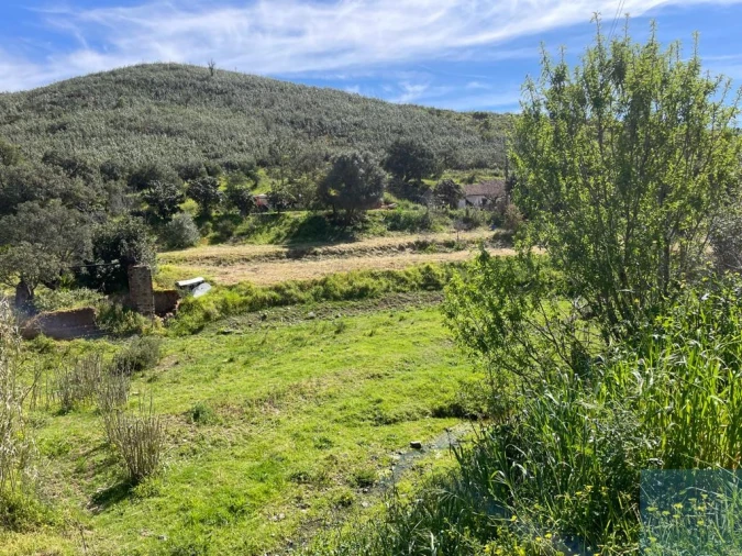 Terreno Agricola ou Rústico para Venda em Mexilhoeira Grande Foto 2