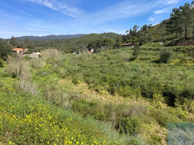 Terreno Agricola ou Rústico para Venda em Mexilhoeira Grande Foto 3