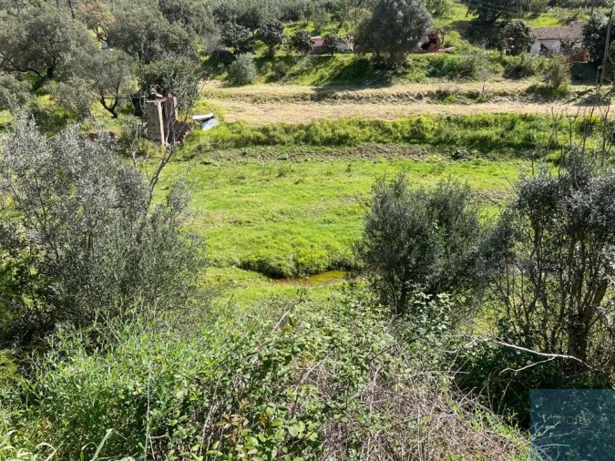 Terreno Agricola ou Rústico para Venda em Mexilhoeira Grande Foto 6