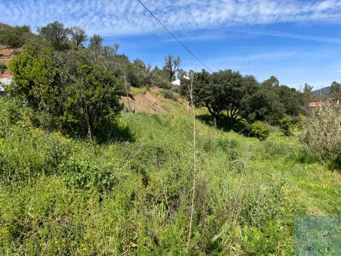 Terreno Agricola ou Rústico para Venda em Mexilhoeira Grande Foto 9