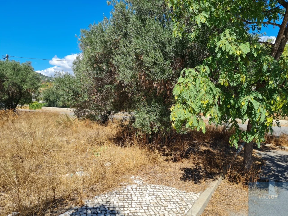 Terreno para Venda em Conceição e Estoi Foto 11