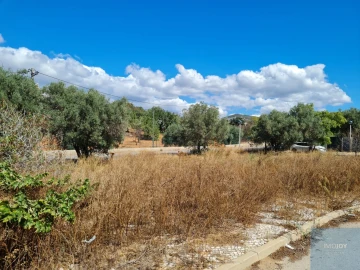 Terreno para Venda em Conceição e Estoi