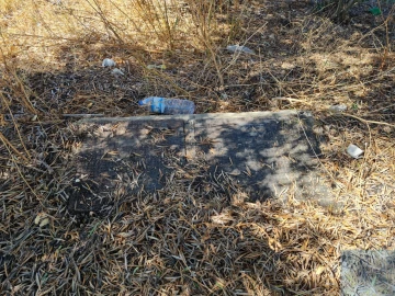 Terreno para Venda em Conceição e Estoi