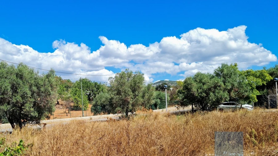 Terreno para Venda em Conceição e Estoi Foto 8