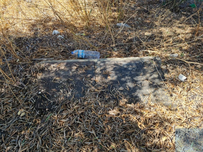 Terreno para Venda em Conceição e Estoi Foto 17