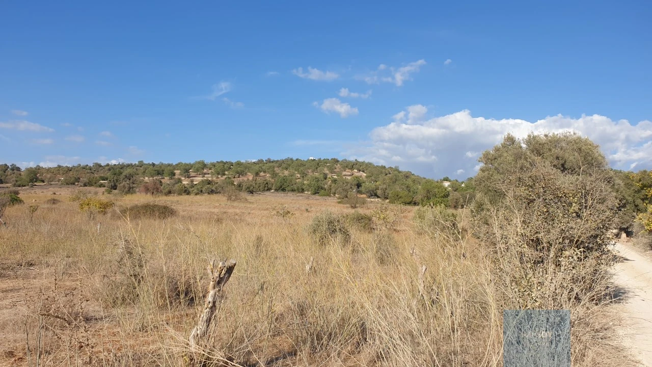 Terreno Agricola ou Rústico para Venda em Paderne Foto 4