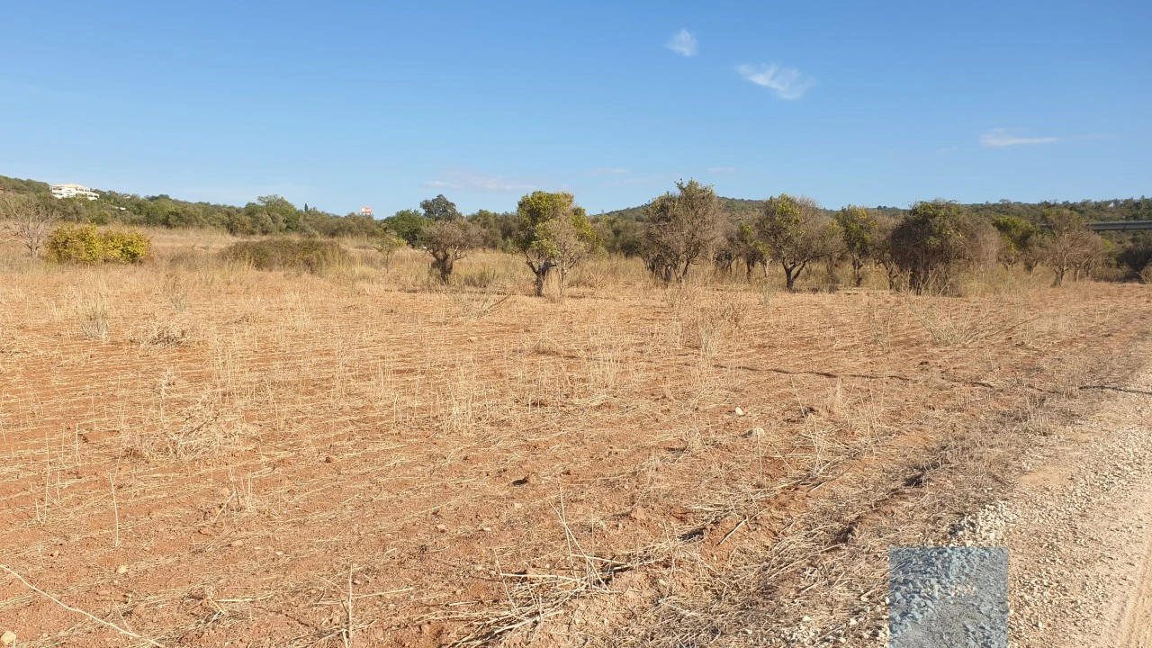 Terreno Agricola ou Rústico para Venda em Paderne Foto 5