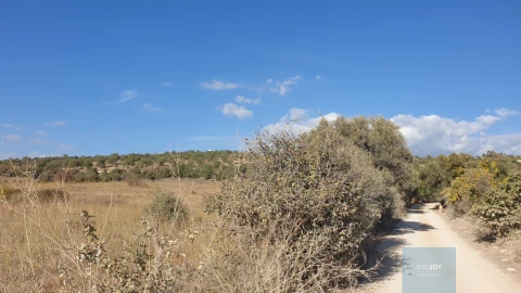 Terreno Agricola ou Rústico para Venda em Paderne