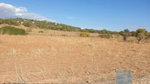 Terreno Agricola ou Rústico para Venda em Paderne