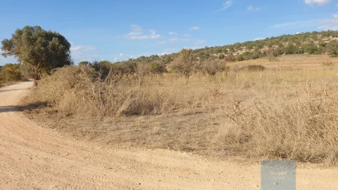 Terreno Agricola ou Rústico para Venda em Paderne