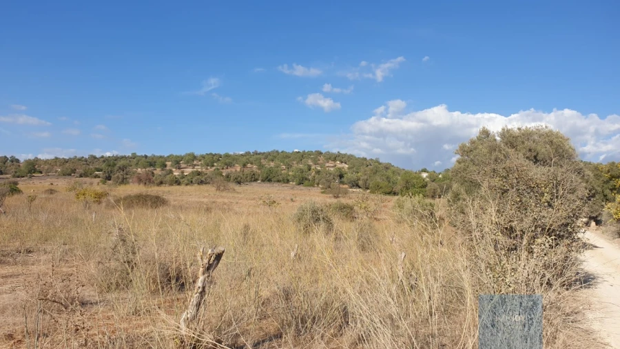 Terreno Agricola ou Rústico para Venda em Paderne Foto 4