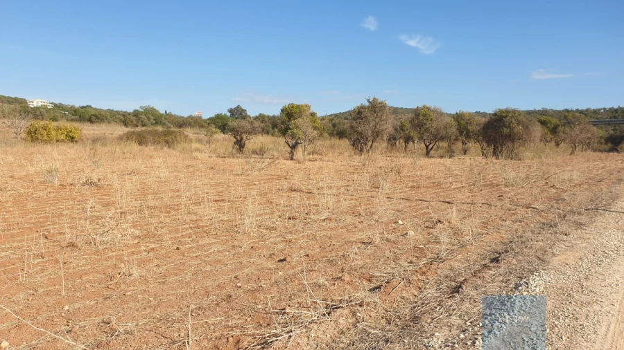 Terreno Agricola ou Rústico para Venda em Paderne Foto 5