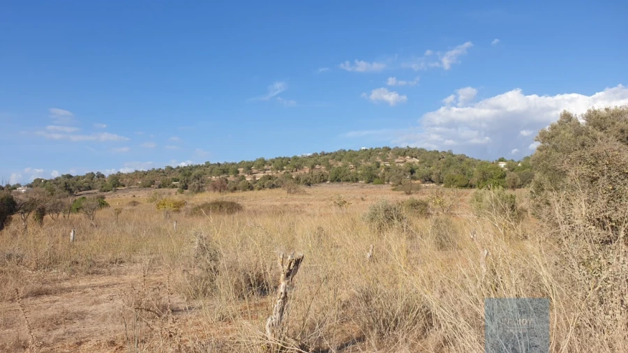 Terreno Agricola ou Rústico para Venda em Paderne Foto 11