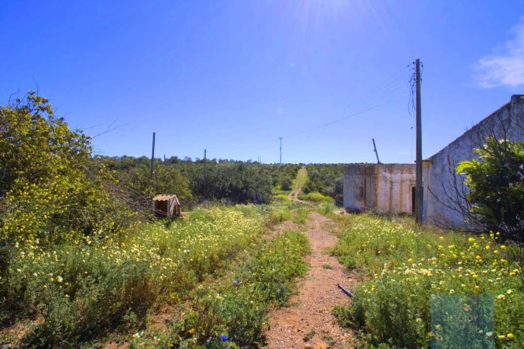 Terreno para Venda em Luz de Tavira e Santo Estêvão Foto 17