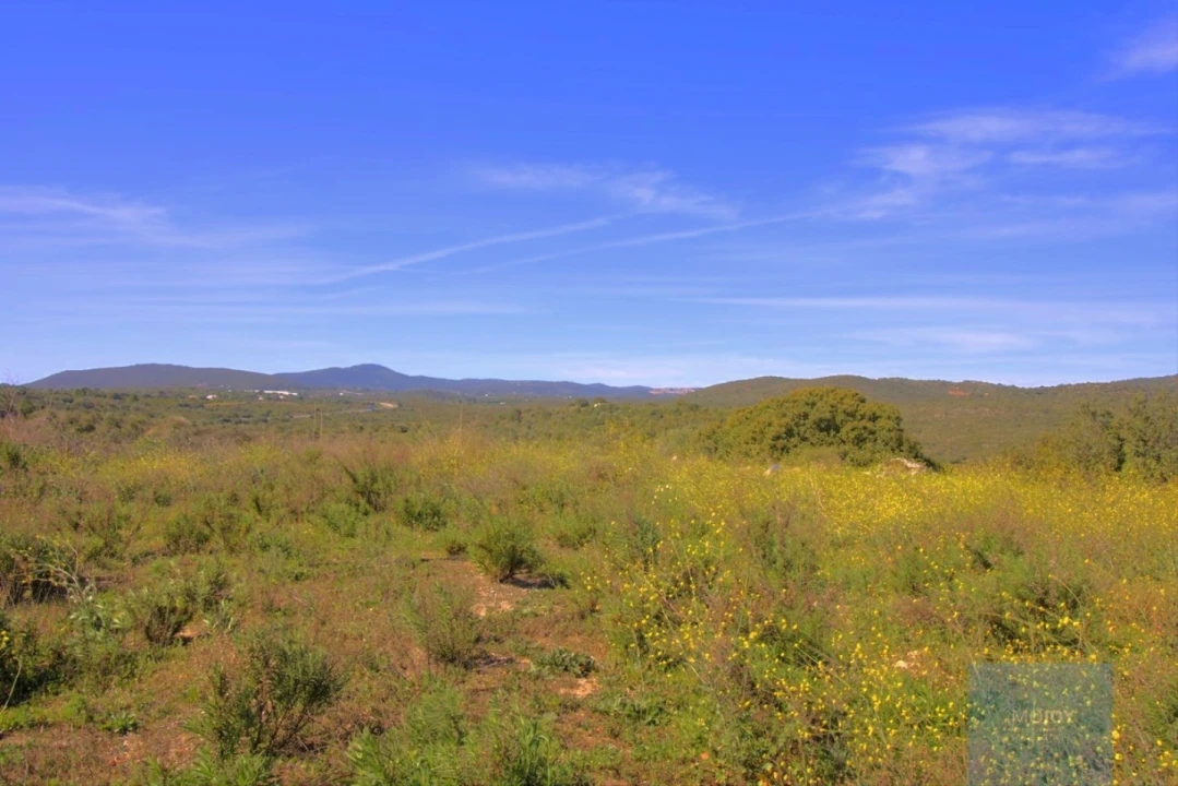 Terreno para Venda em Luz de Tavira e Santo Estêvão Foto 3