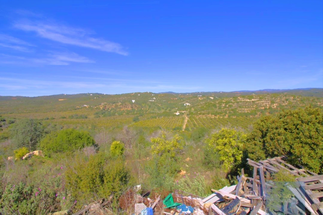 Terreno para Venda em Luz de Tavira e Santo Estêvão Foto 14