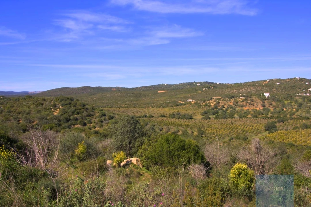 Terreno para Venda em Luz de Tavira e Santo Estêvão Foto 5