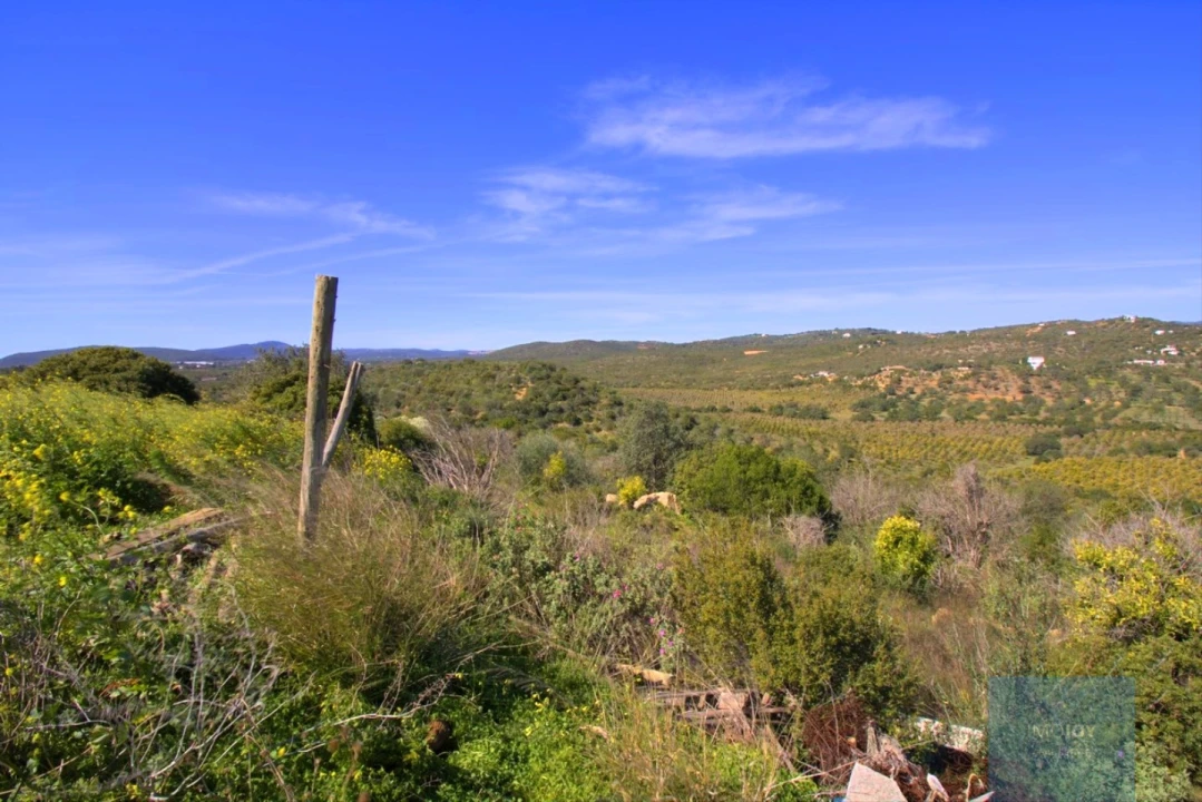 Terreno para Venda em Luz de Tavira e Santo Estêvão Foto 12
