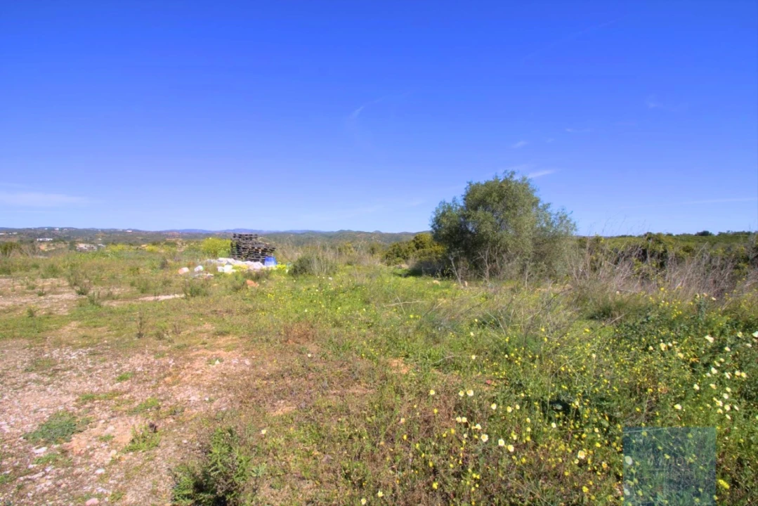 Terreno para Venda em Luz de Tavira e Santo Estêvão Foto 13