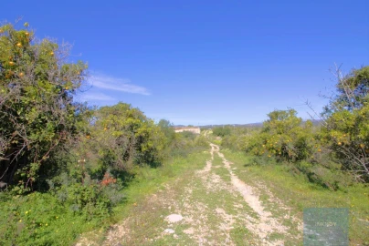 Terreno para Venda em Luz de Tavira e Santo Estêvão