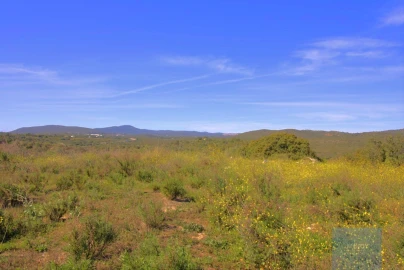 Terreno para Venda em Luz de Tavira e Santo Estêvão