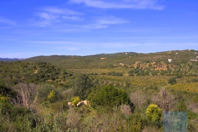 Terreno para Venda em Luz de Tavira e Santo Estêvão