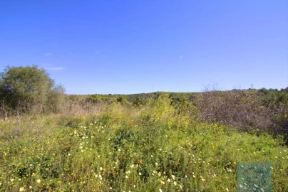 Terreno para Venda em Luz de Tavira e Santo Estêvão