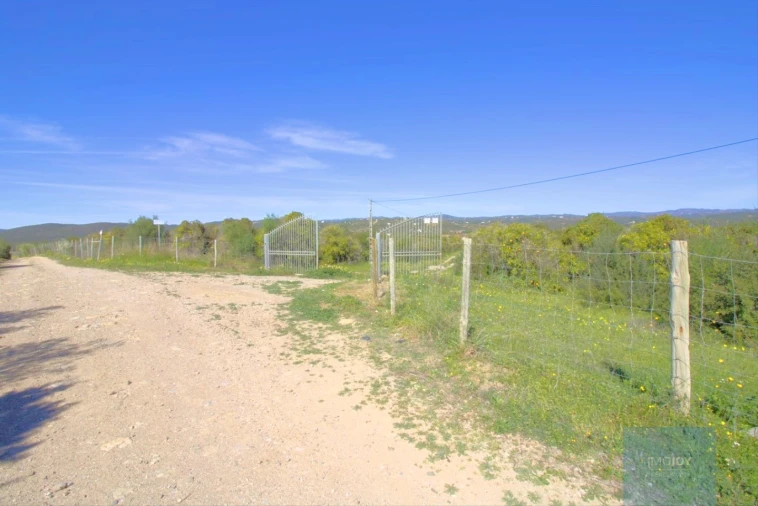 Terreno para Venda em Luz de Tavira e Santo Estêvão Foto 24