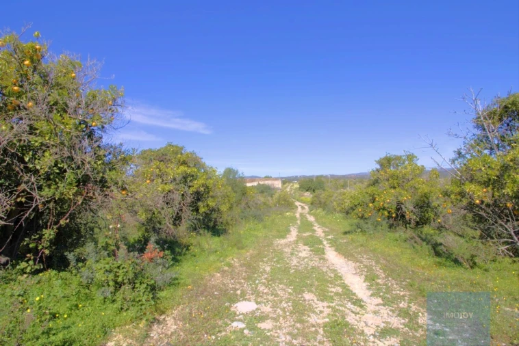 Terreno para Venda em Luz de Tavira e Santo Estêvão Foto 26