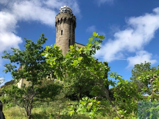 Quinta T7 para Venda em Mafamude e Vilar do Paraíso Foto 8