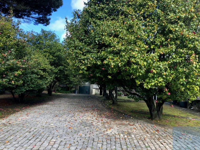 Quinta T7 para Venda em Mafamude e Vilar do Paraíso Foto 16