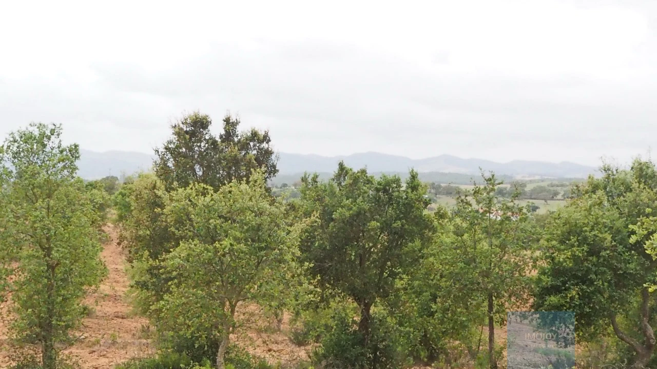 Terreno Agricola ou Rústico para Venda em Cercal Foto 6