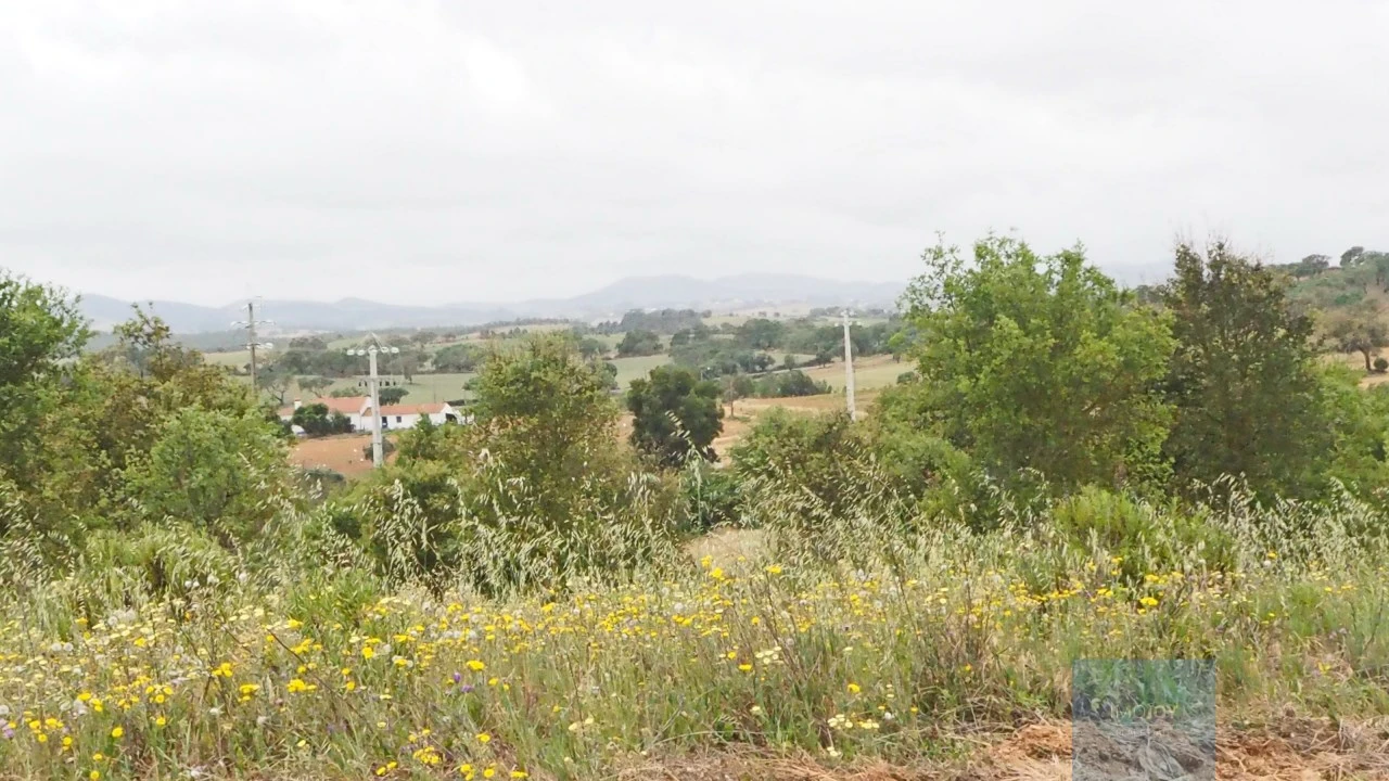 Terreno Agricola ou Rústico para Venda em Cercal Foto 7