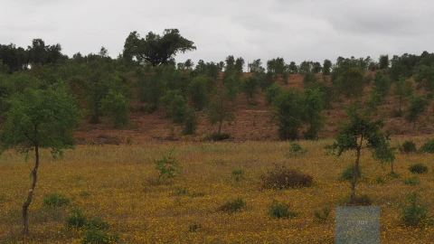 Terreno Agricola ou Rústico para Venda em Cercal