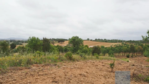 Terreno Agricola ou Rústico para Venda em Cercal