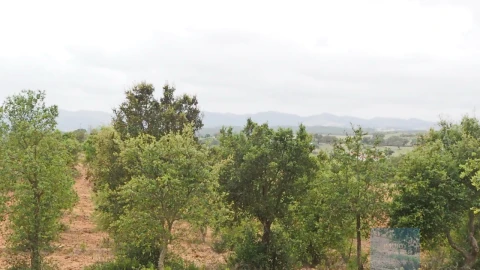 Terreno Agricola ou Rústico para Venda em Cercal