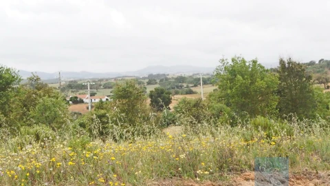 Terreno Agricola ou Rústico para Venda em Cercal