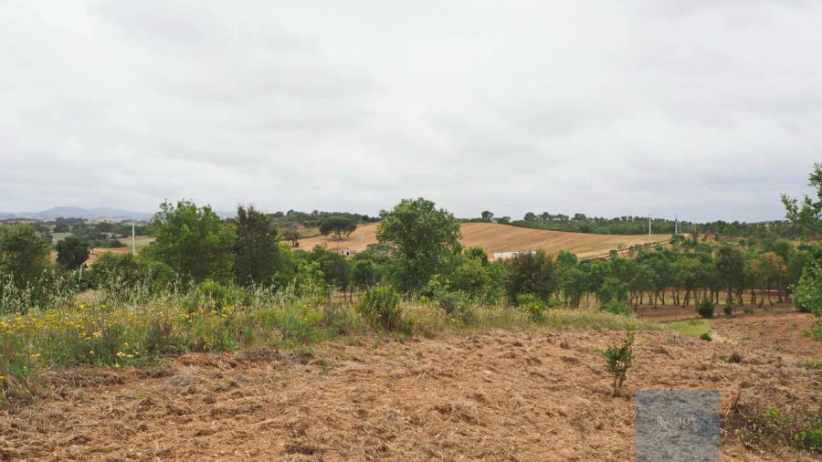 Terreno Agricola ou Rústico para Venda em Cercal Foto 3