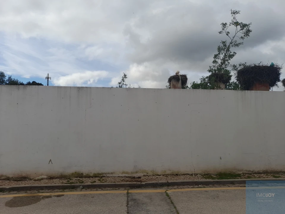 Terreno para Venda em Silves Foto 3