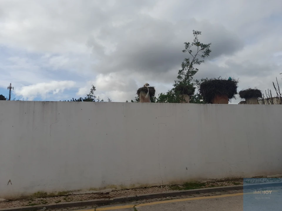 Terreno para Venda em Silves Foto 4