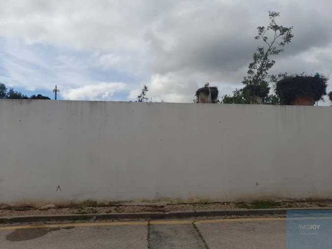 Terreno para Venda em Silves Foto 3