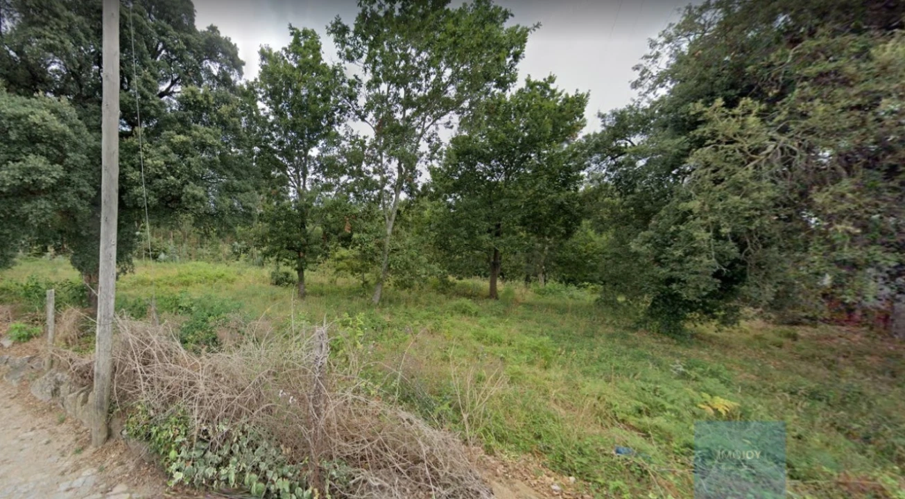 Terreno Agricola ou Rústico para Venda em Castêlo da Maia Foto 1