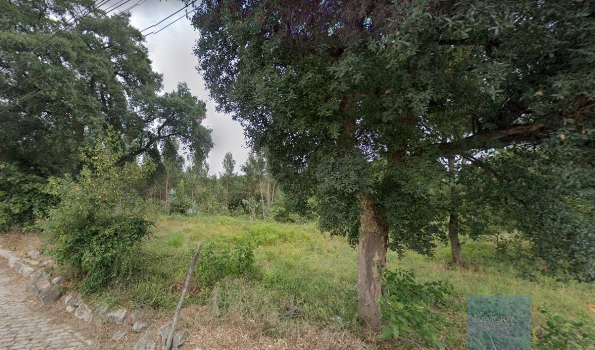 Terreno Agricola ou Rústico para Venda em Castêlo da Maia Foto 5