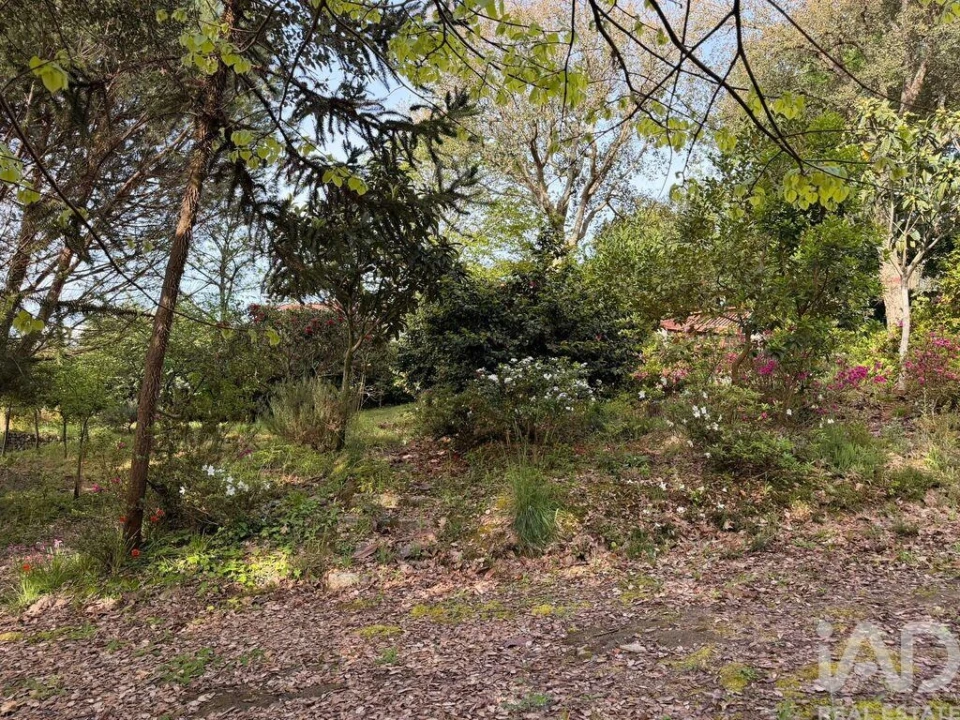 Terreno para Venda em Durrães e Tregosa Foto 10