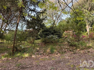 Terreno para Venda em Durrães e Tregosa