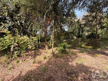 Terreno para Venda em Durrães e Tregosa