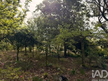 Terreno para Venda em Durrães e Tregosa